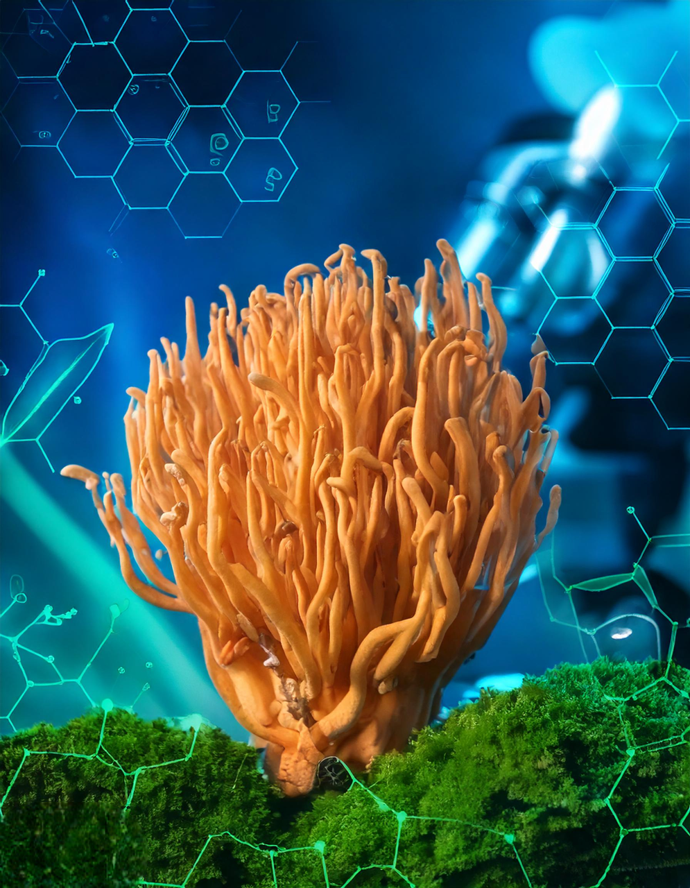 “Adaptogens Explained: Why Cordyceps Is the Star of Modern Wellness” — as a standalone: